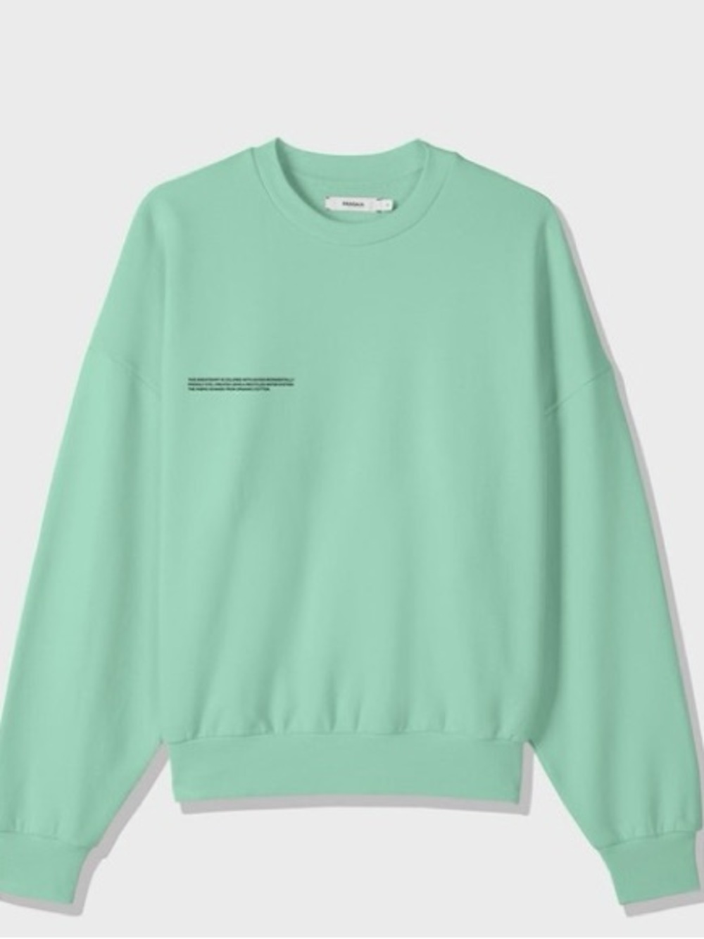 PANGAIA Mint Green Crewneck Sweatshirt. Like New Condition. XS Size.